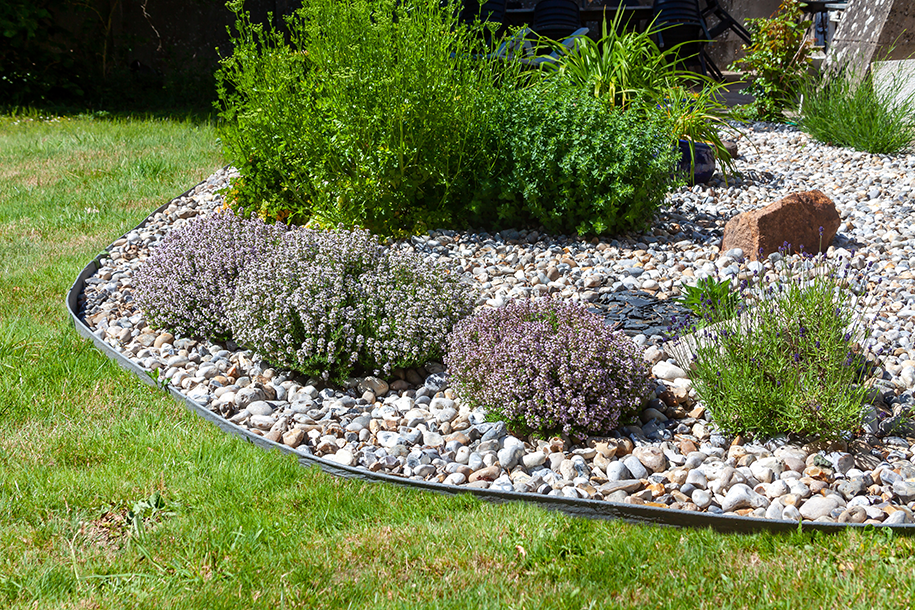 plantes